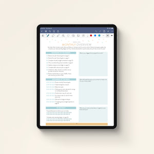 Money Planner Monthly Overview downloaded on iPad