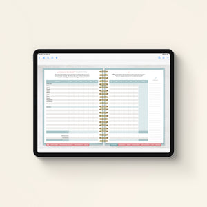 Money Planner Annual Budget Overview downloaded on iPad