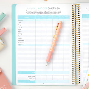 money planner annual budget overview page