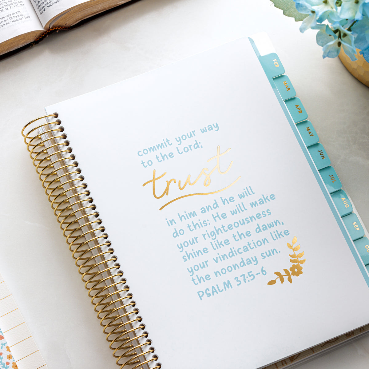 Shining Dawn Books Printable Schedule Shining Dawn Books Printable Schedule