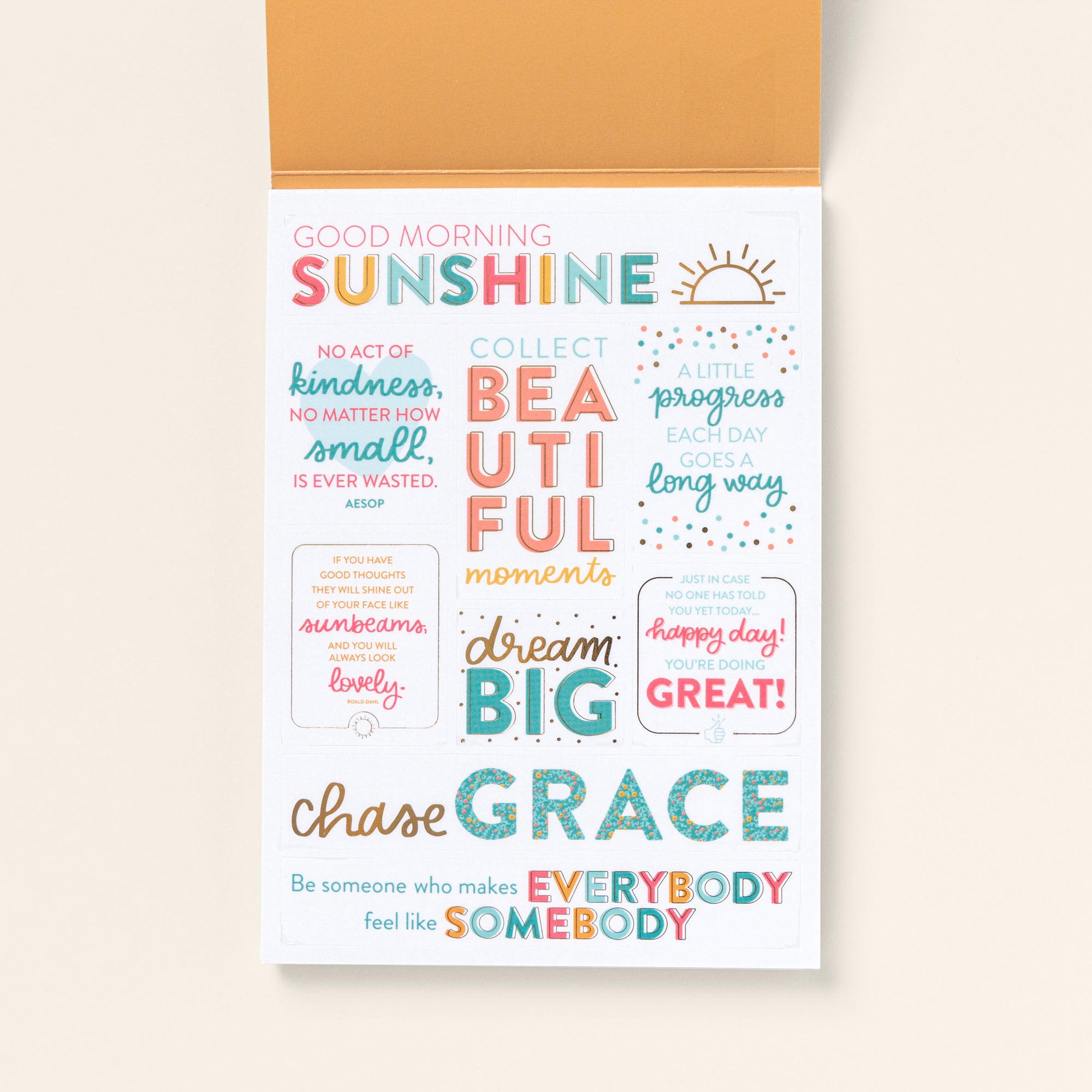 Home Planner Sticker Book 3rd ED - Passionate Penny Pincher