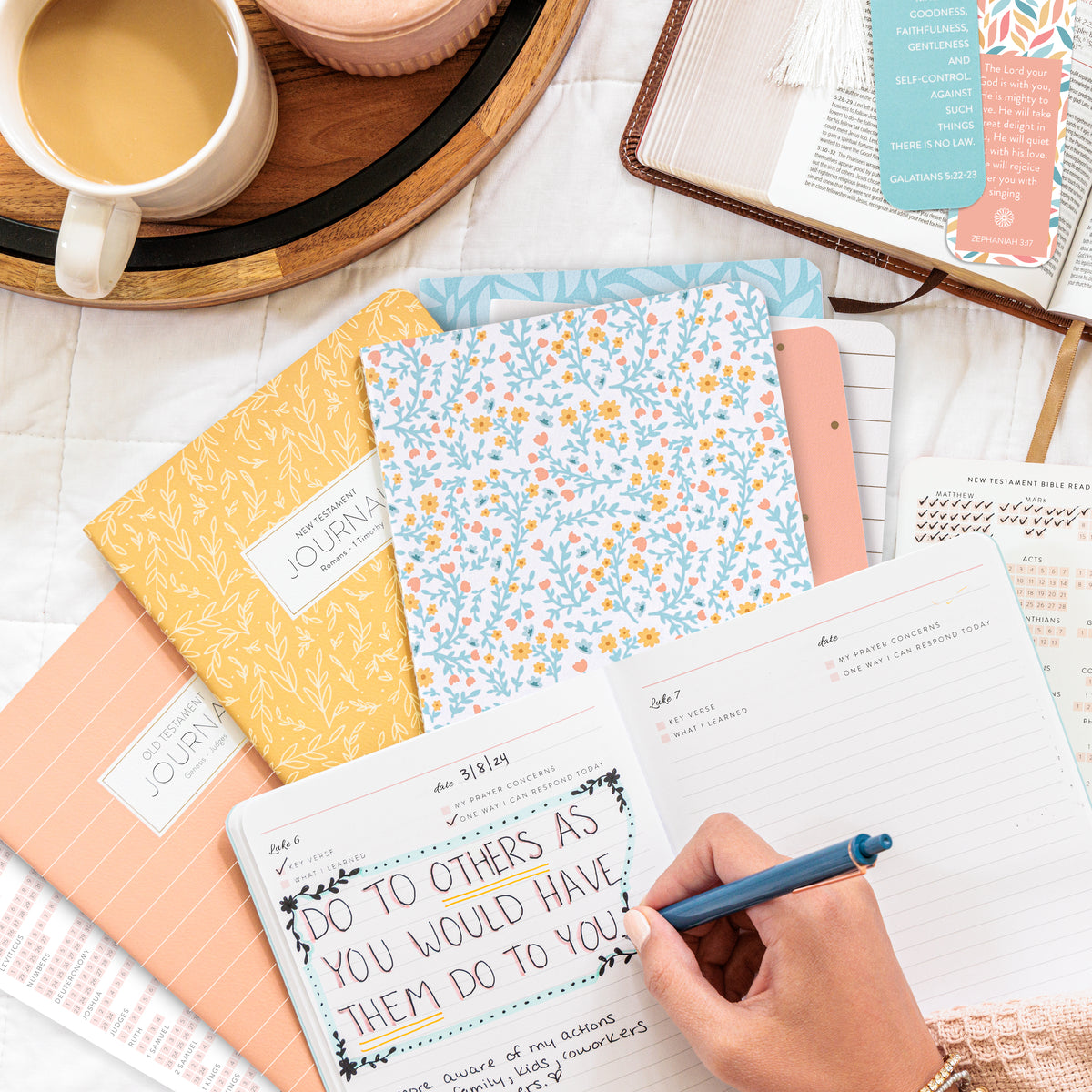 4 pack bible journals 