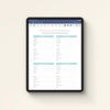 Money Planner Bank Account Information on iPad