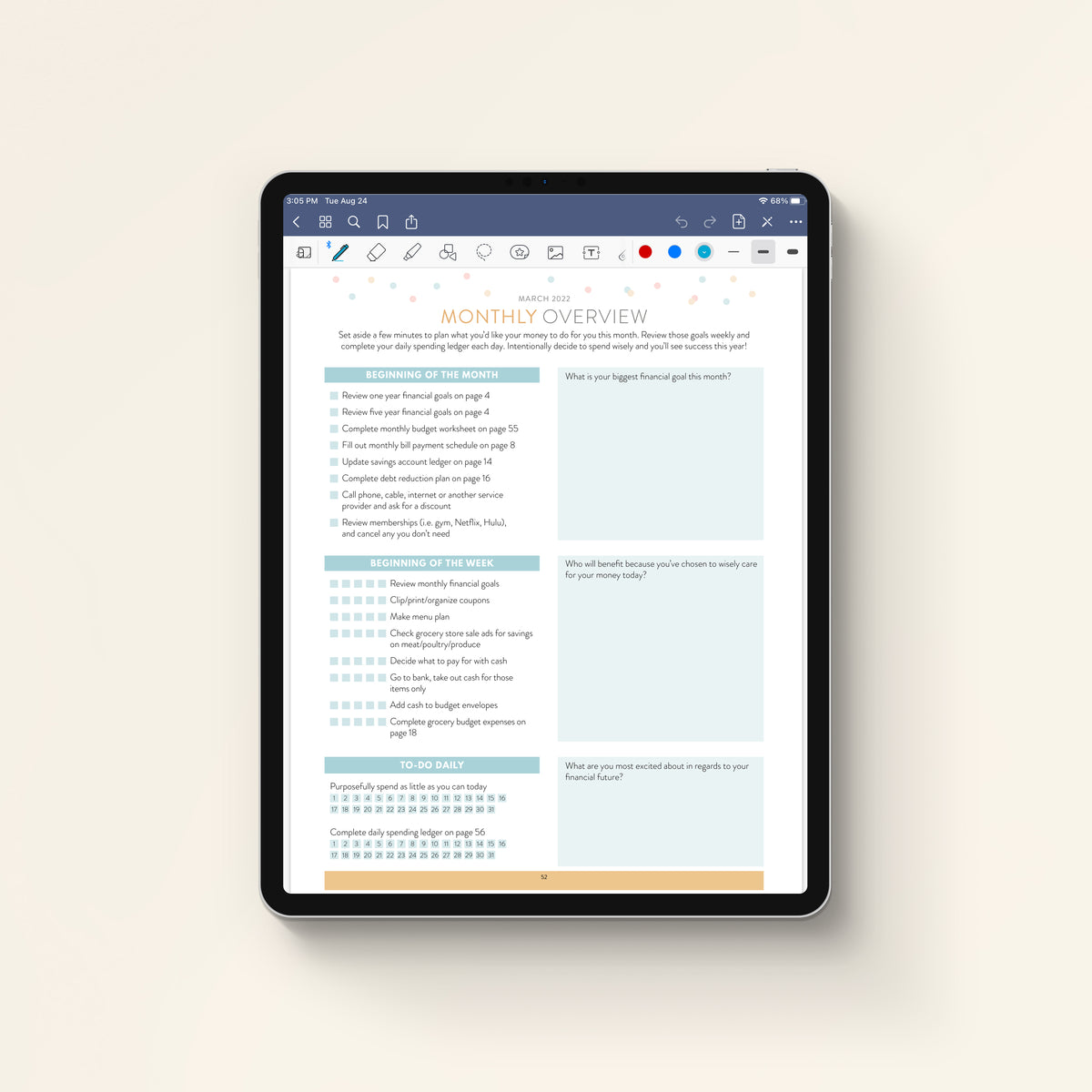 Money Planner  Monthly Overview downloaded on iPad