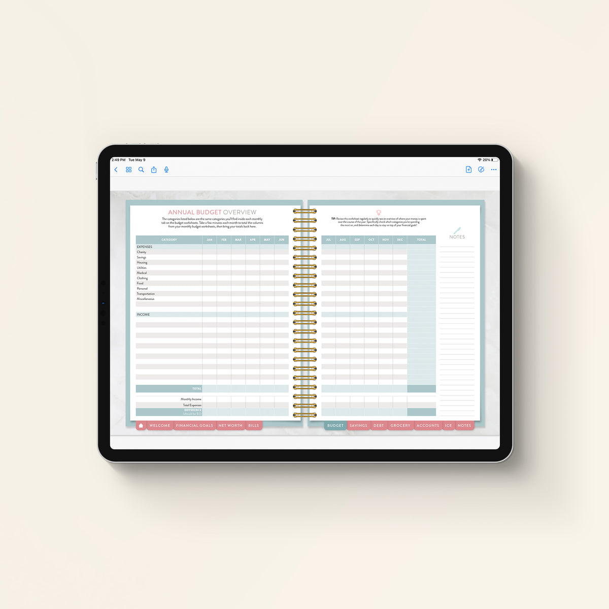 Money Planner Annual Budget Overview downloaded on iPad