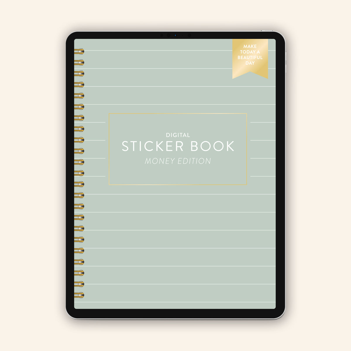 Money Sticker Book - Digital