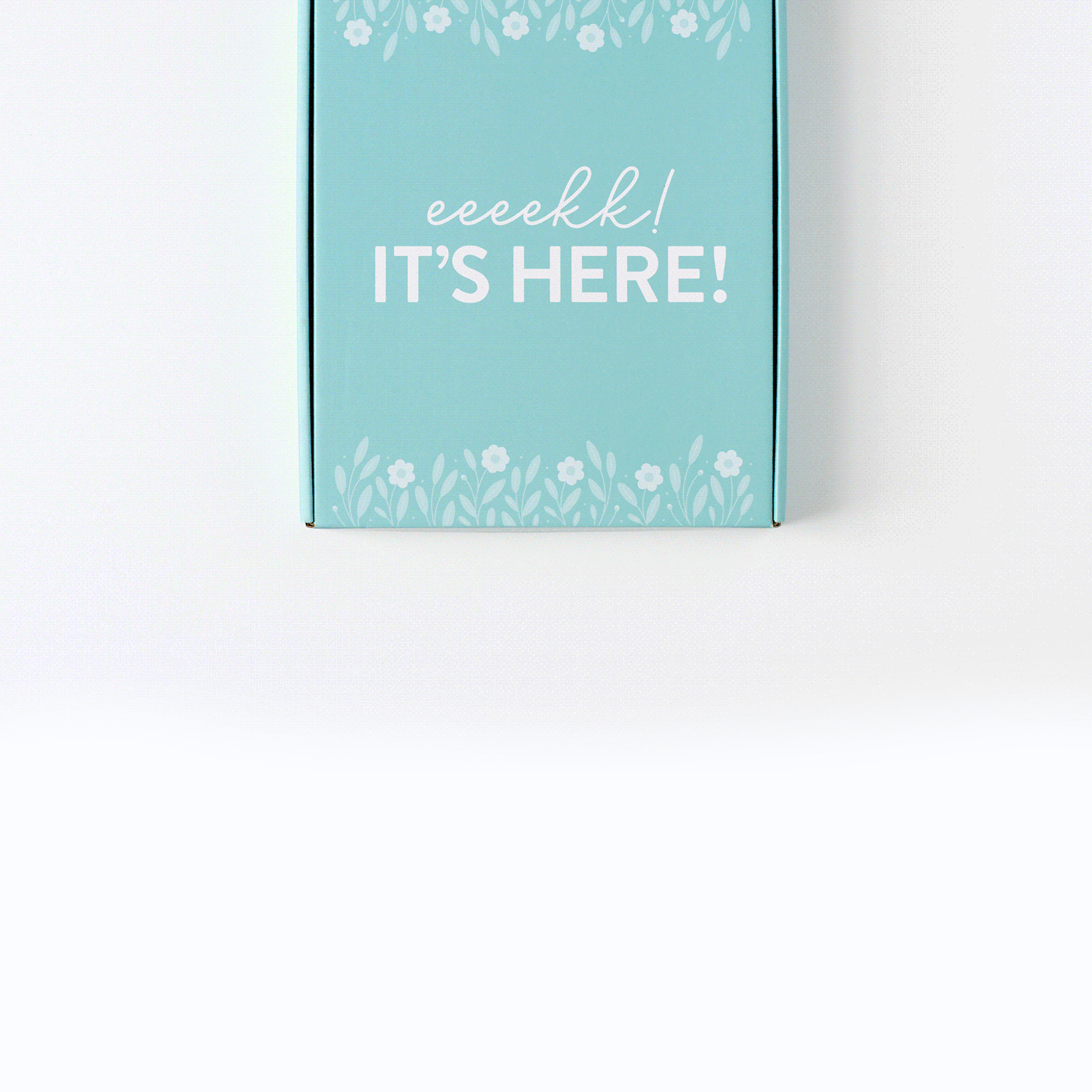 2027 blue floral home planner coming out of box