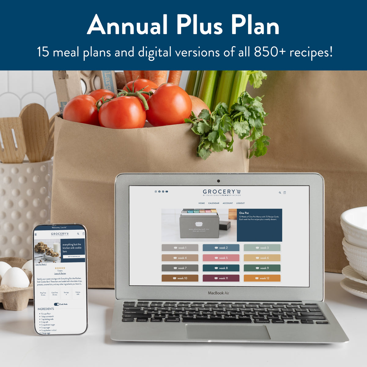 Annual_Plus grocery membership