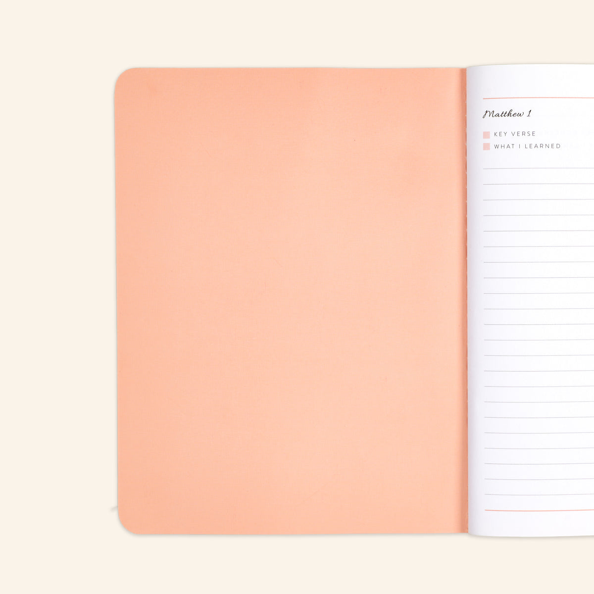 new testament edition 2 peach journal inside cover