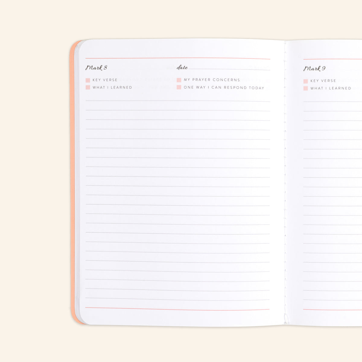 new testament edition 2 journal pink inside page 1