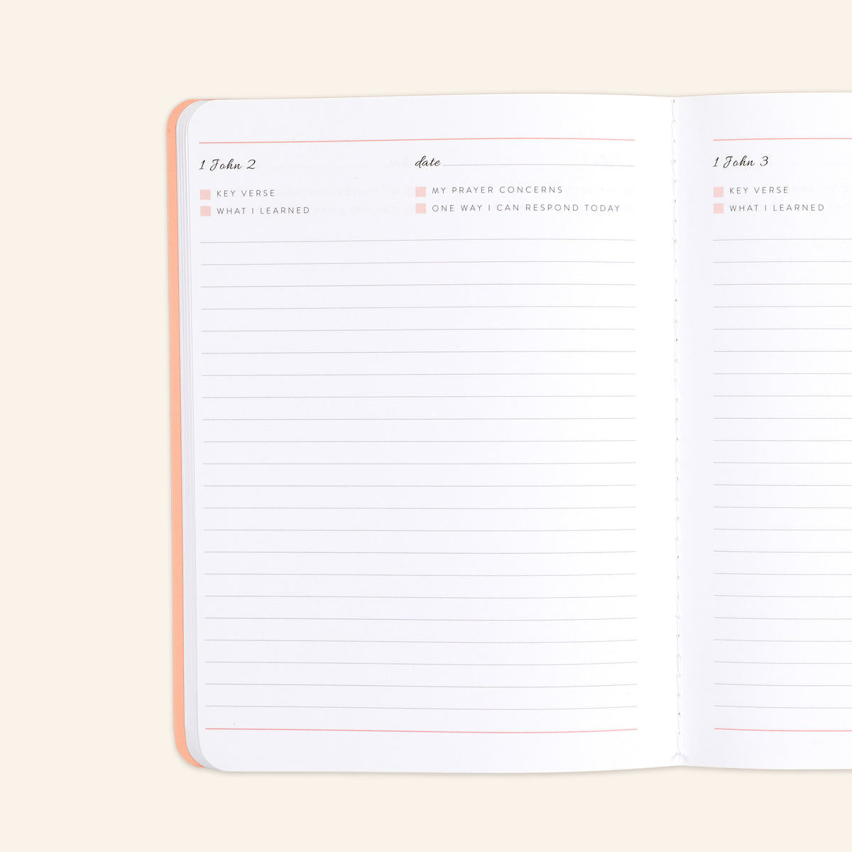 new testament edition 2 tan journal inside page 1