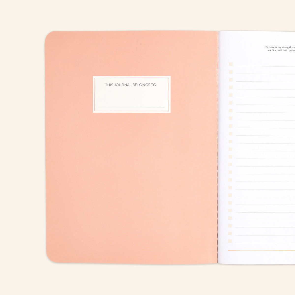Blank Journal Pack (Set of 4)