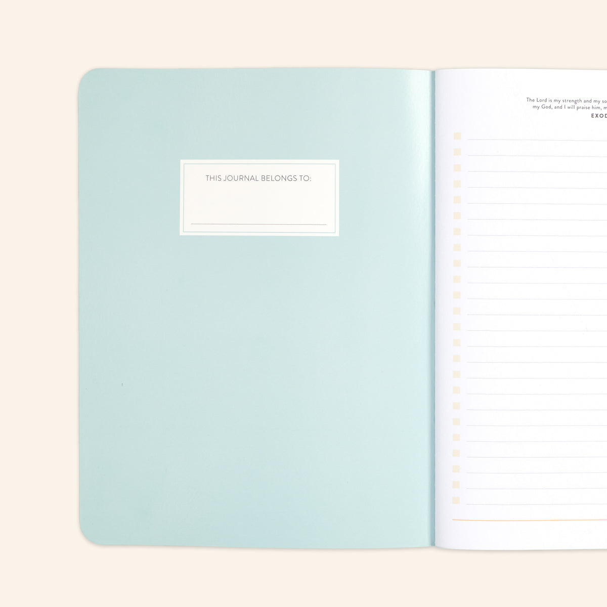 Blank Journal Pack (Set of 4)