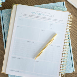 Work Planner Professional Goals page