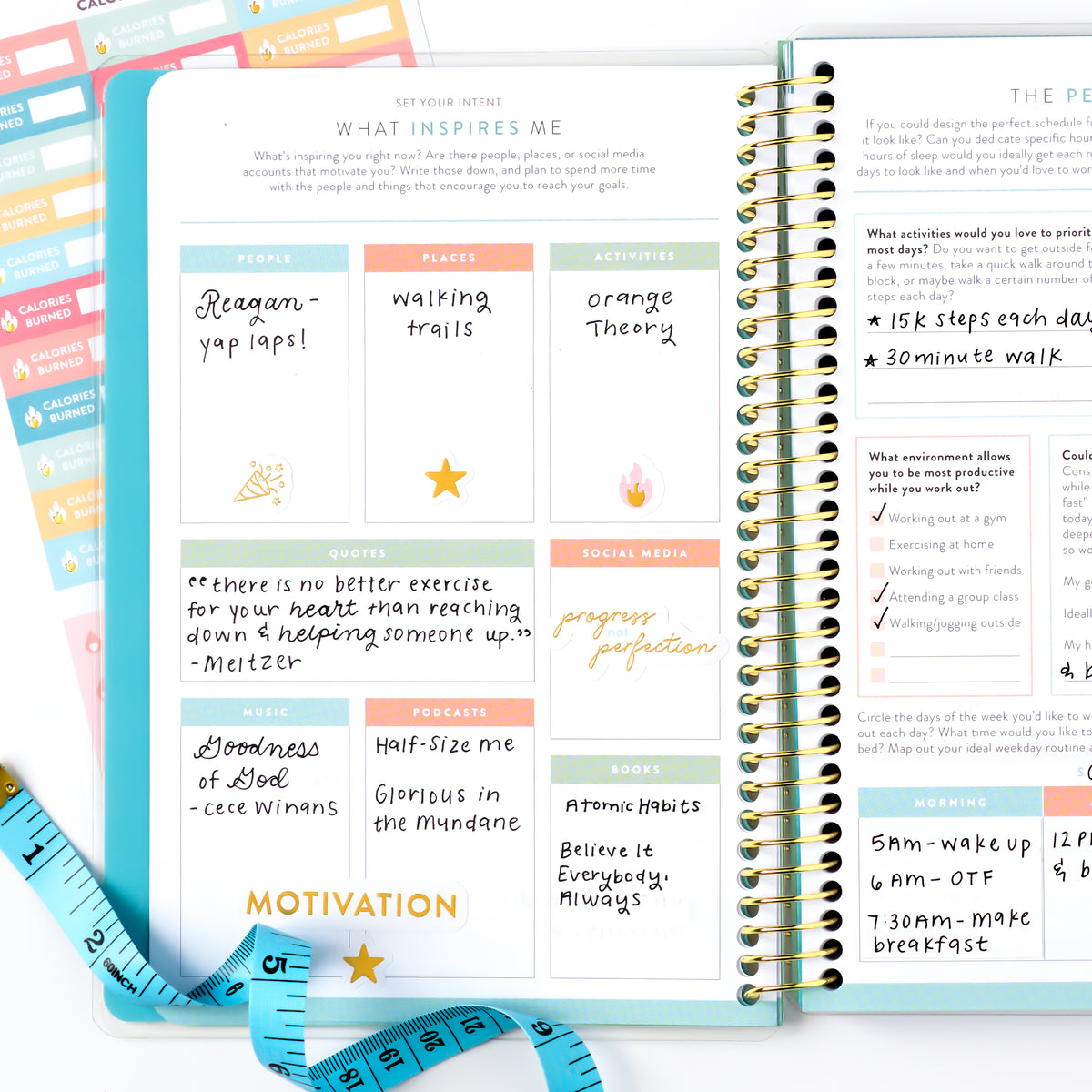Wellness Tracker (2027)