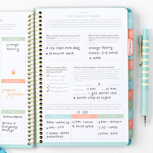 Wellness Tracker (2027)