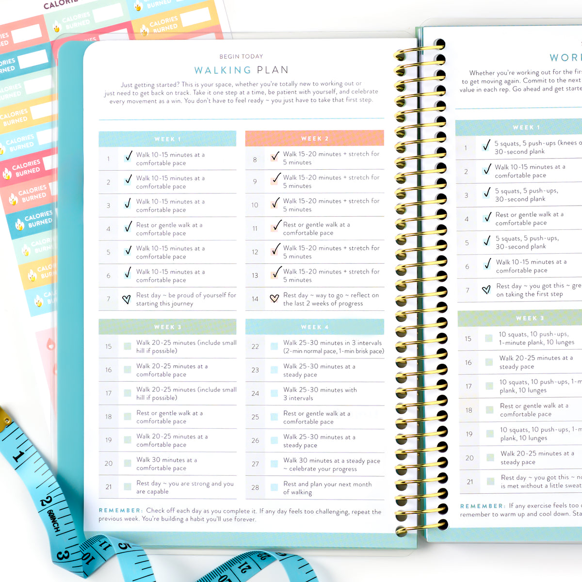 Wellness Tracker (2027)