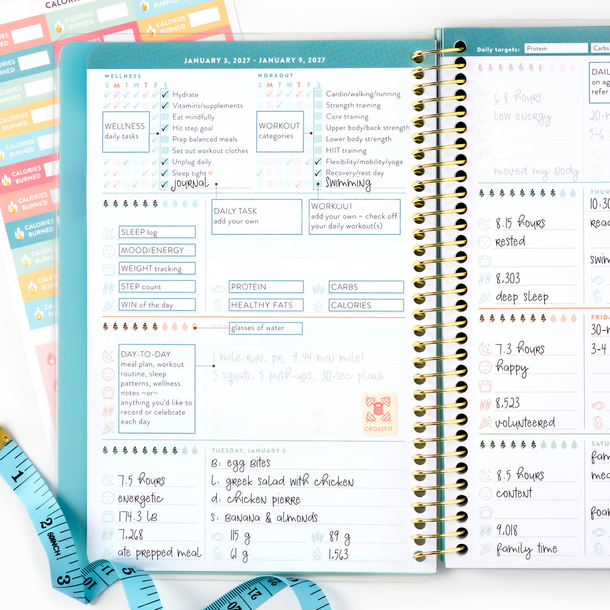Wellness Tracker (2027)